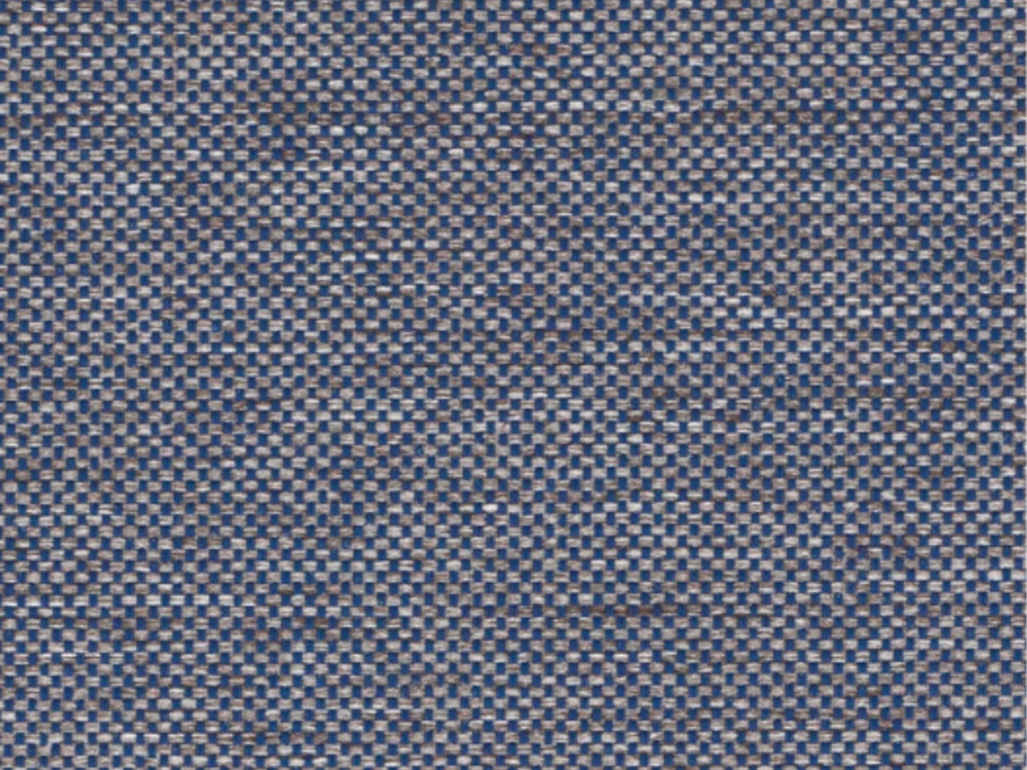 CANVAS 55 - Image 78