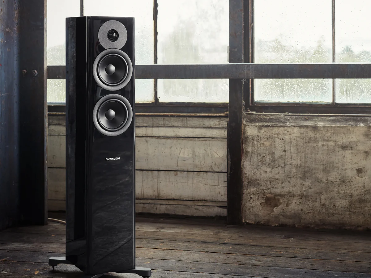 DYNAUDIO EVOKE 30 (la paire) - Image 22