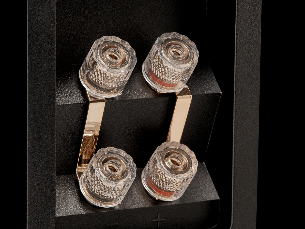 FYNE AUDIO F501E (la paire) - Image 9