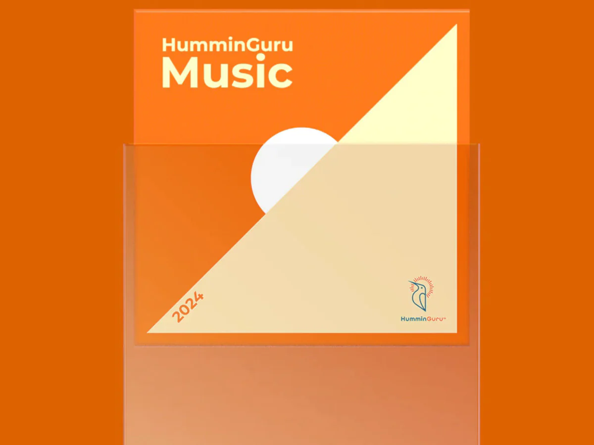 HUMMINGURU Pochettes extérieures x 50 (POUR DISQUES 7") - Image 3