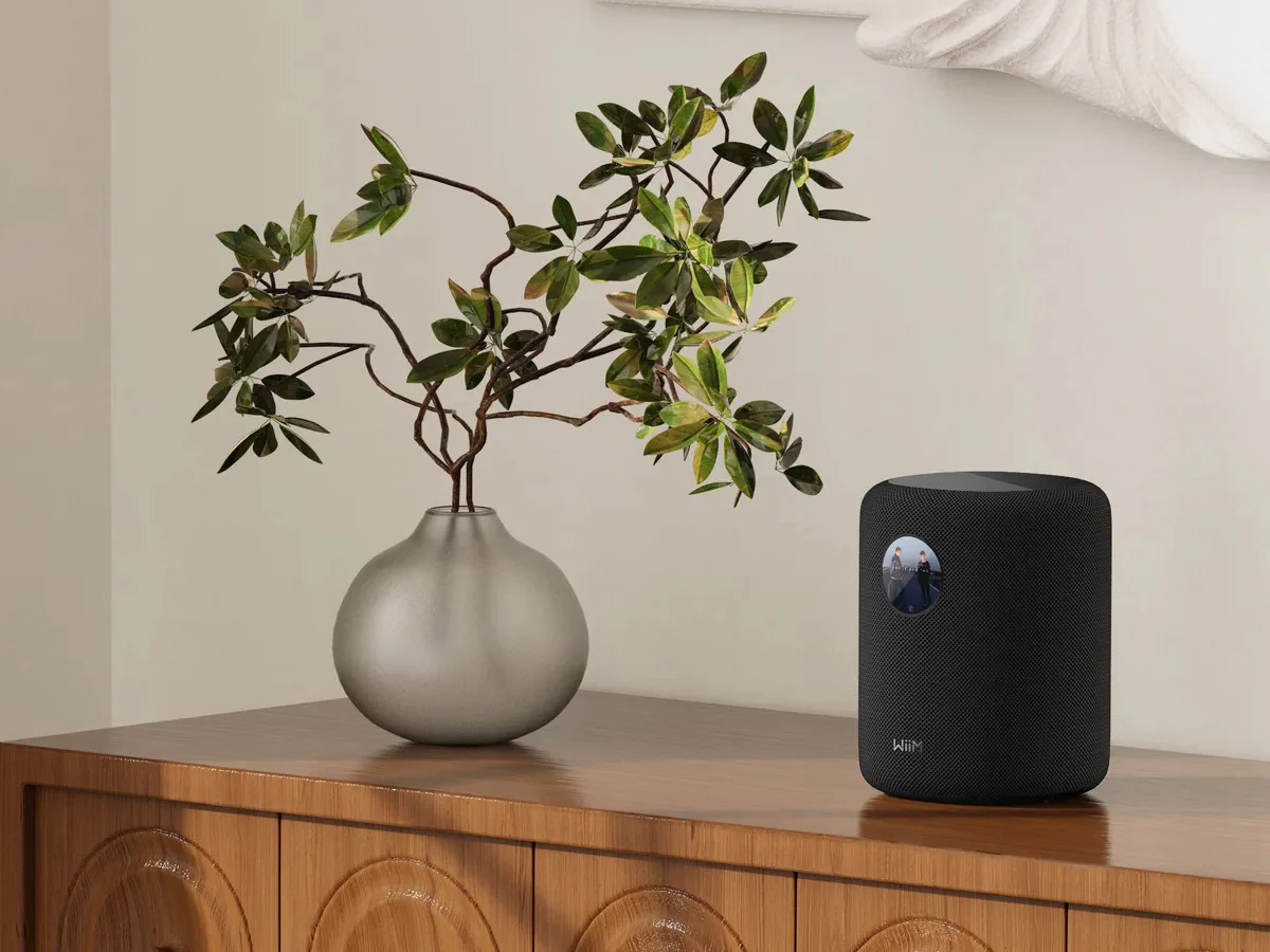 WIIM SOUND WITH DISPLAY - Image 10